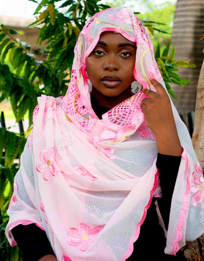 Rahila Pink Mayafi - Image 8
